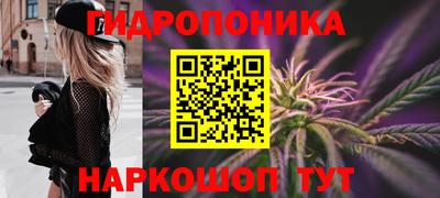 jwh Шелехов