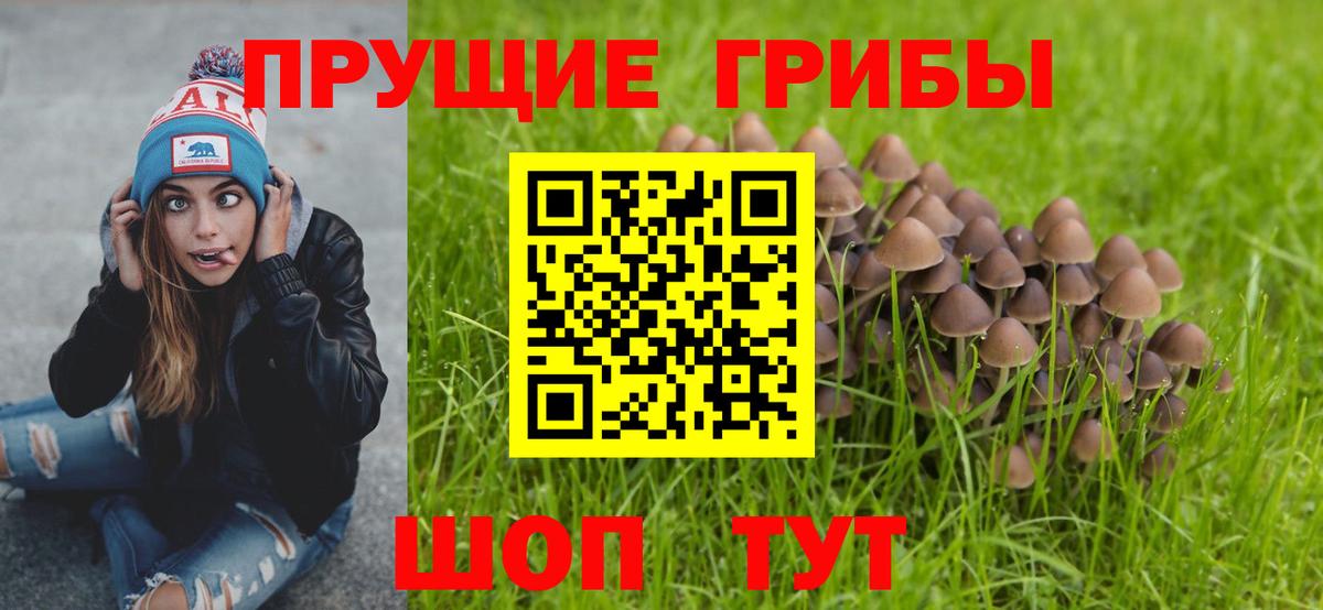 Галлюциногенные грибы MAGIC MUSHROOMS  Галлюциногенные грибы MAGIC MUSHROOMS  Вход с VPN  Ставрополь 